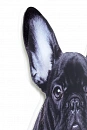 Картина Kare design Acryl Art Cute Dog