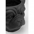 Кашпо Kare Design Bulldog Black